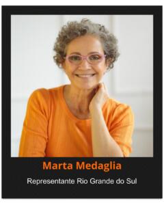 Comitê Regional Sul