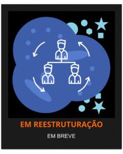Comitê Internacional
