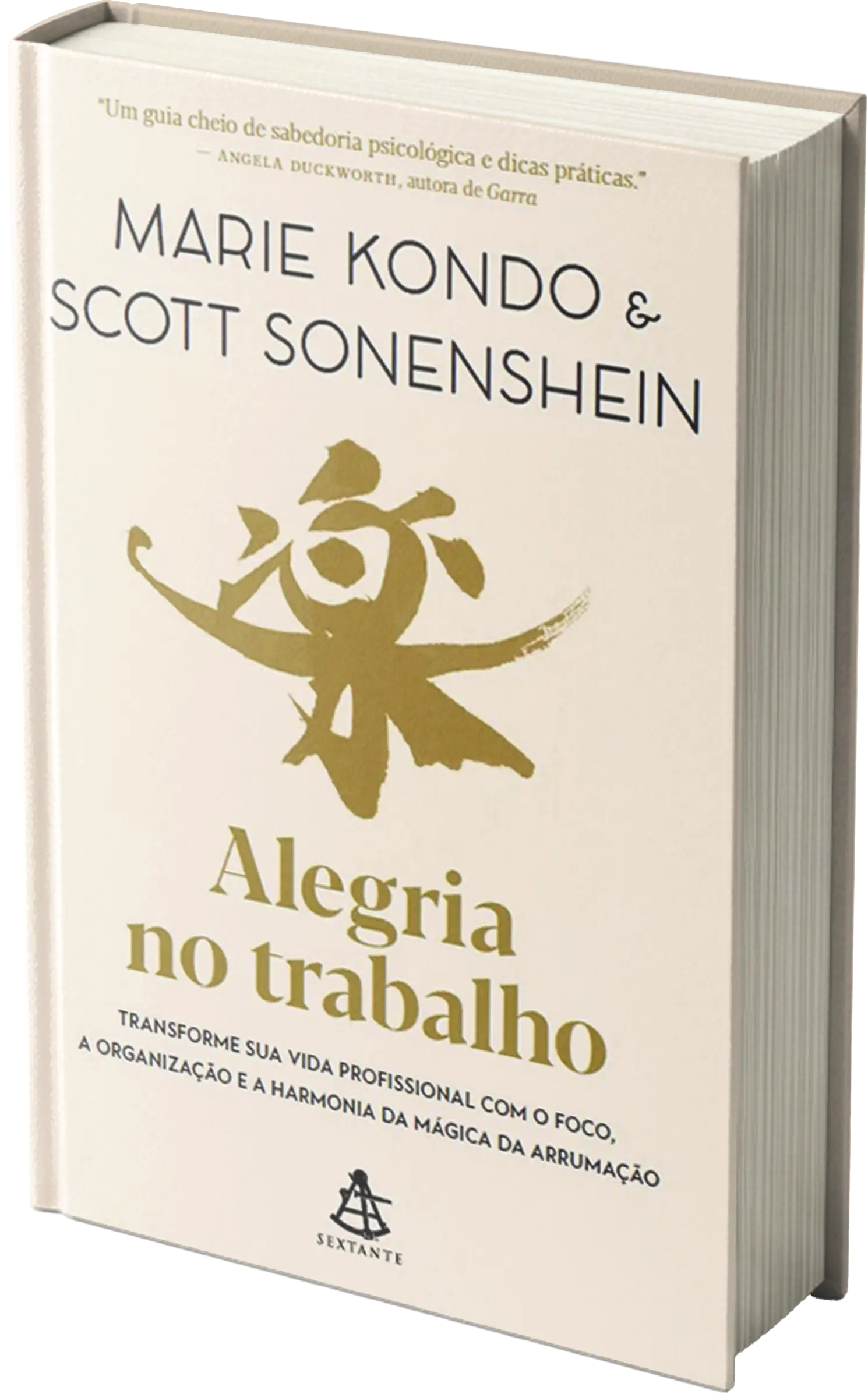Capa do livro Alegria no trabalho: transforme sua vida profissional com o foco, a organização e a harmonia da mágica da arrumação