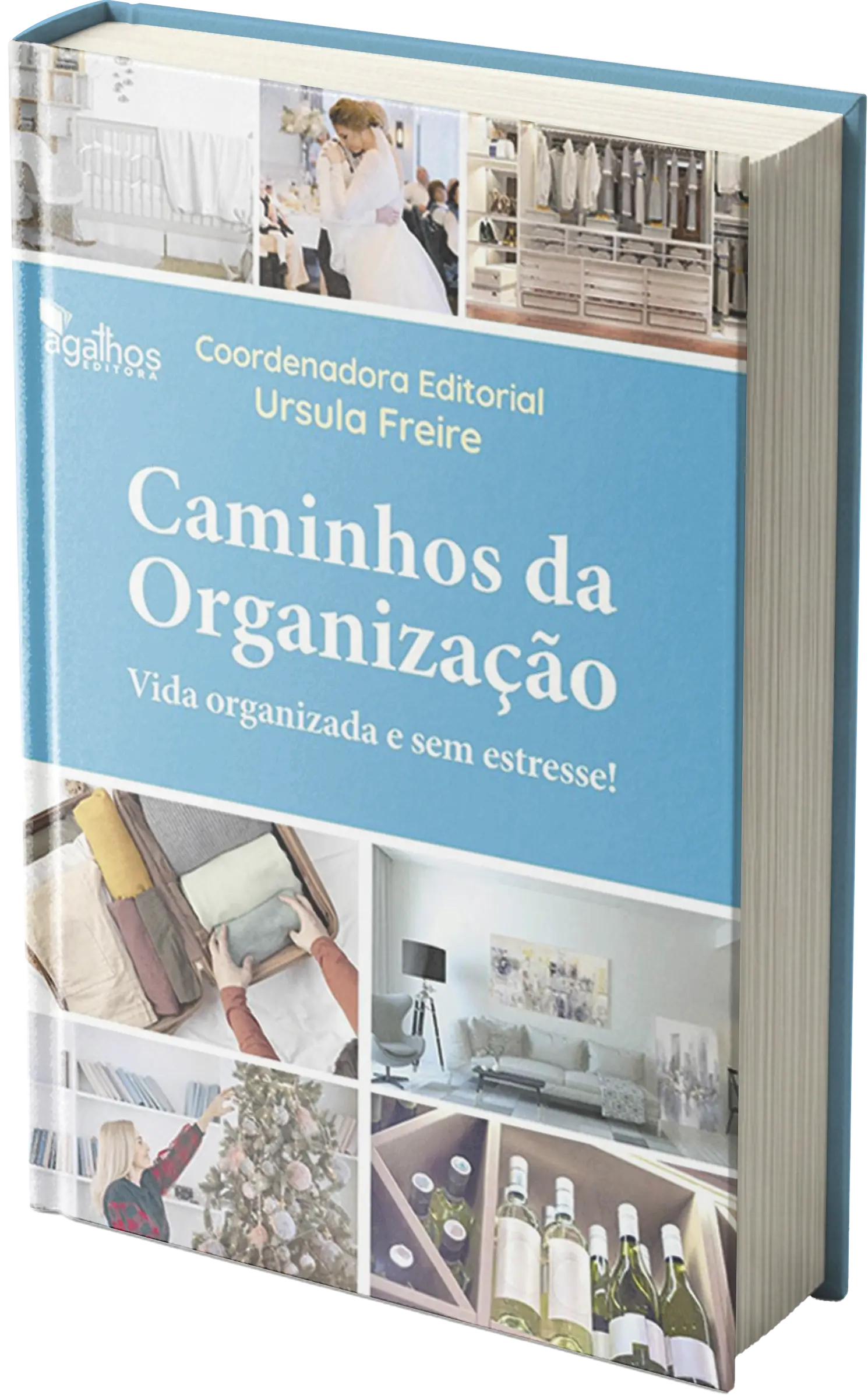 Capa do livro Vida Organizada sem estresse