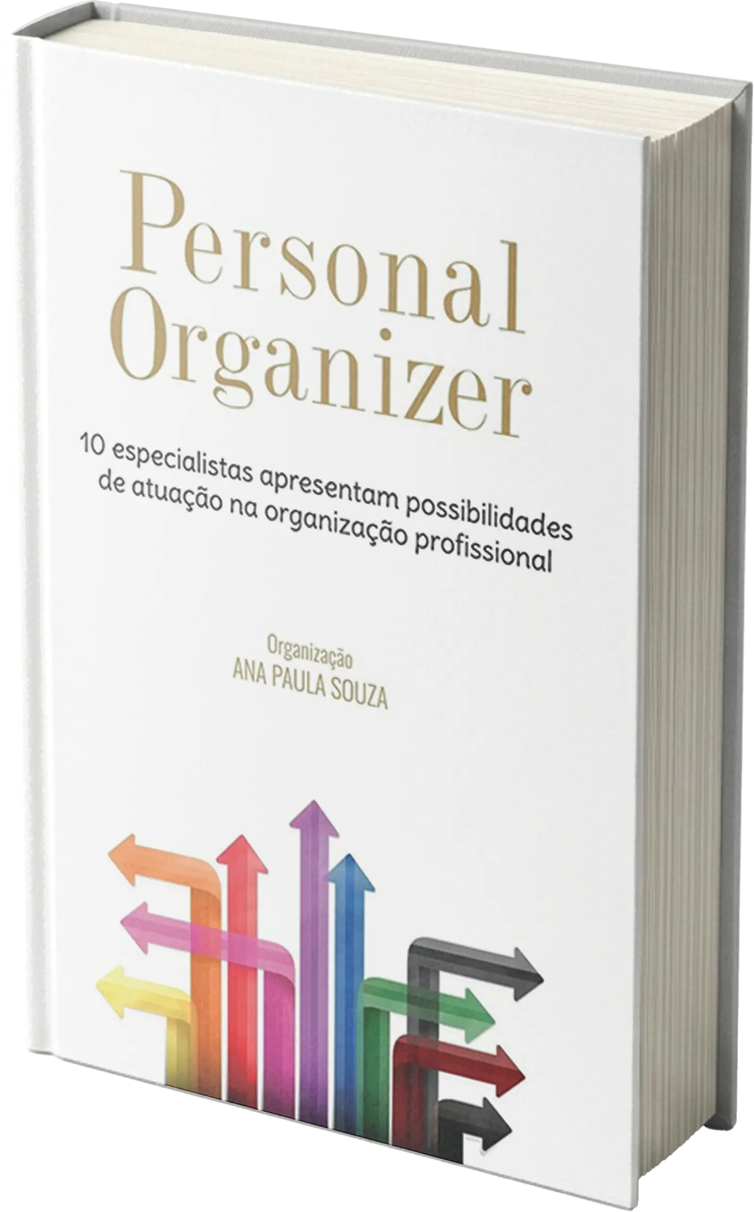 Capa do livro Personal Organizer: 10 especialistas apresentam possibilidades de atuação na organização profissional