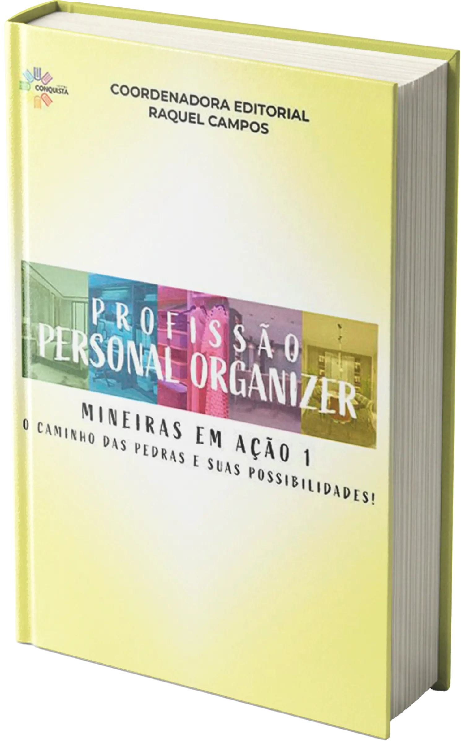 Capa do livro Profissão Personal Organizer: Mineiras em Ação I